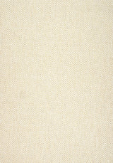 Thibaut MONVISO Sand Fabric
