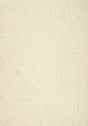 Thibaut MONVISO Sand Fabric