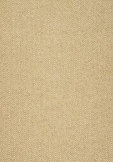 Thibaut MONVISO Camel Fabric