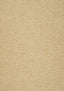 Thibaut MONVISO Camel Fabric