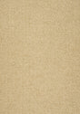Thibaut MONVISO Camel Fabric