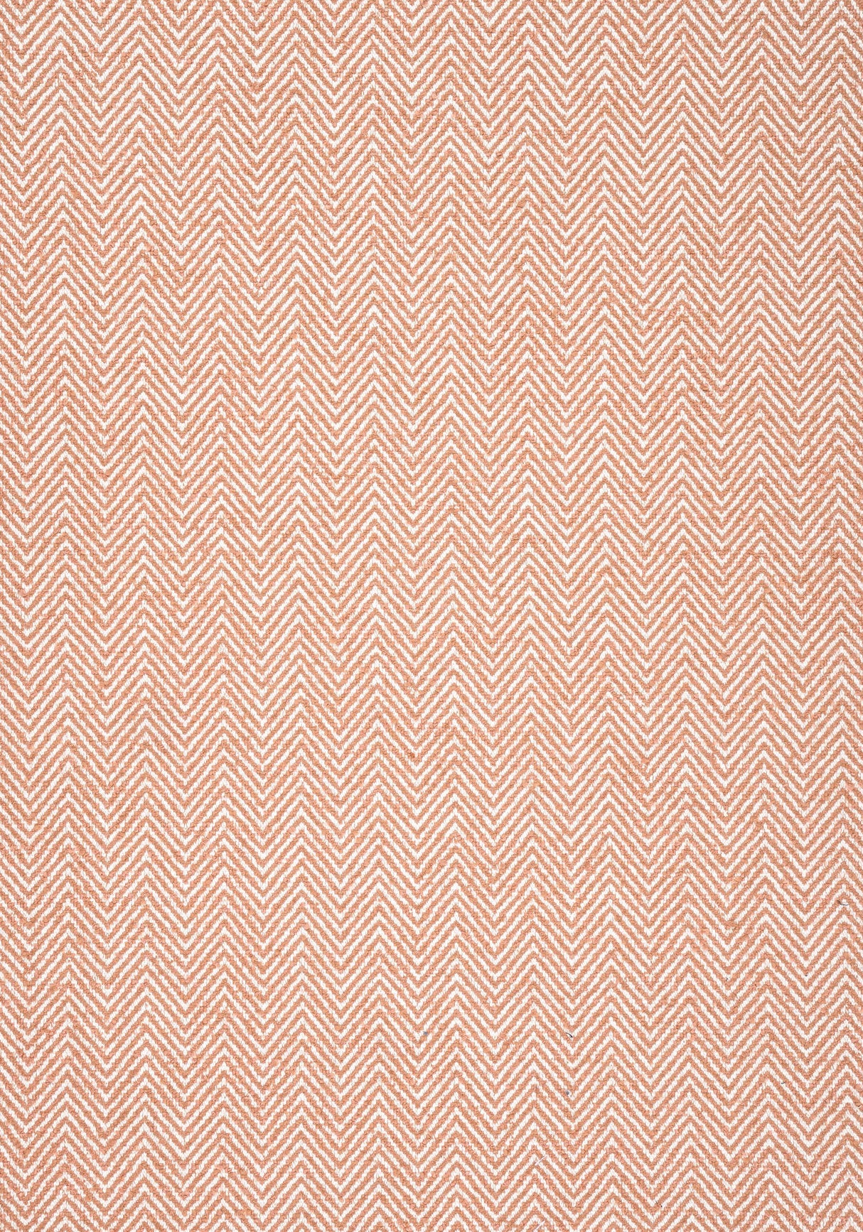 Thibaut MONVISO Clay Fabric