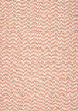 Thibaut MONVISO Clay Fabric