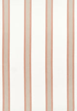 Thibaut ABITO STRIPE Clay Fabric