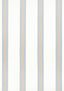 Thibaut ABITO STRIPE Powder Fabric