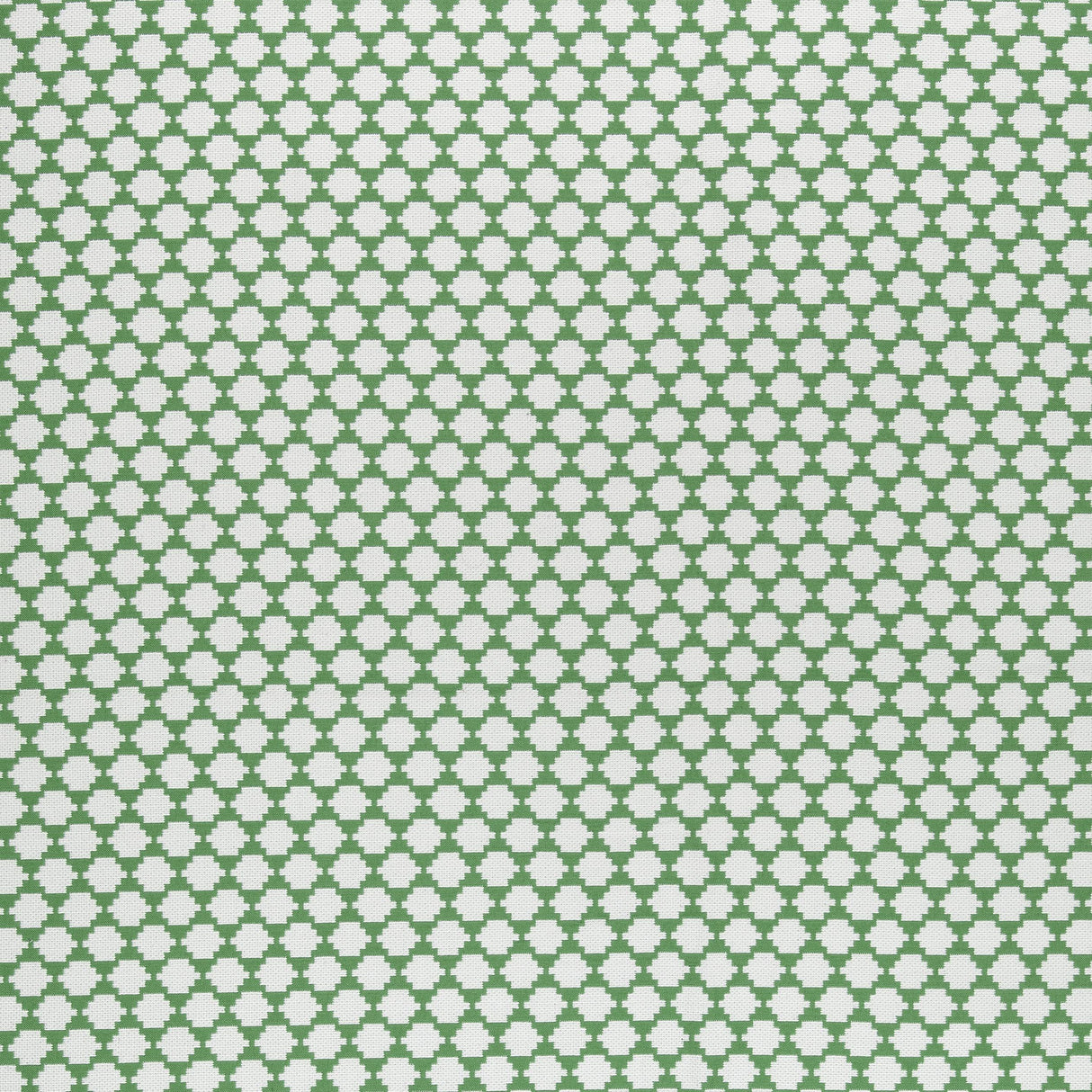 Thibaut Bijou Green Fabric