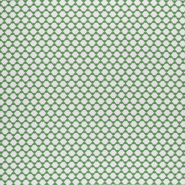 Thibaut Bijou Green Fabric