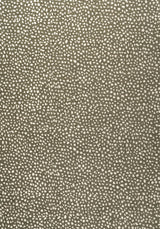 Thibaut FAWN Hickory Fabric