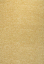 Thibaut FAWN Straw Fabric