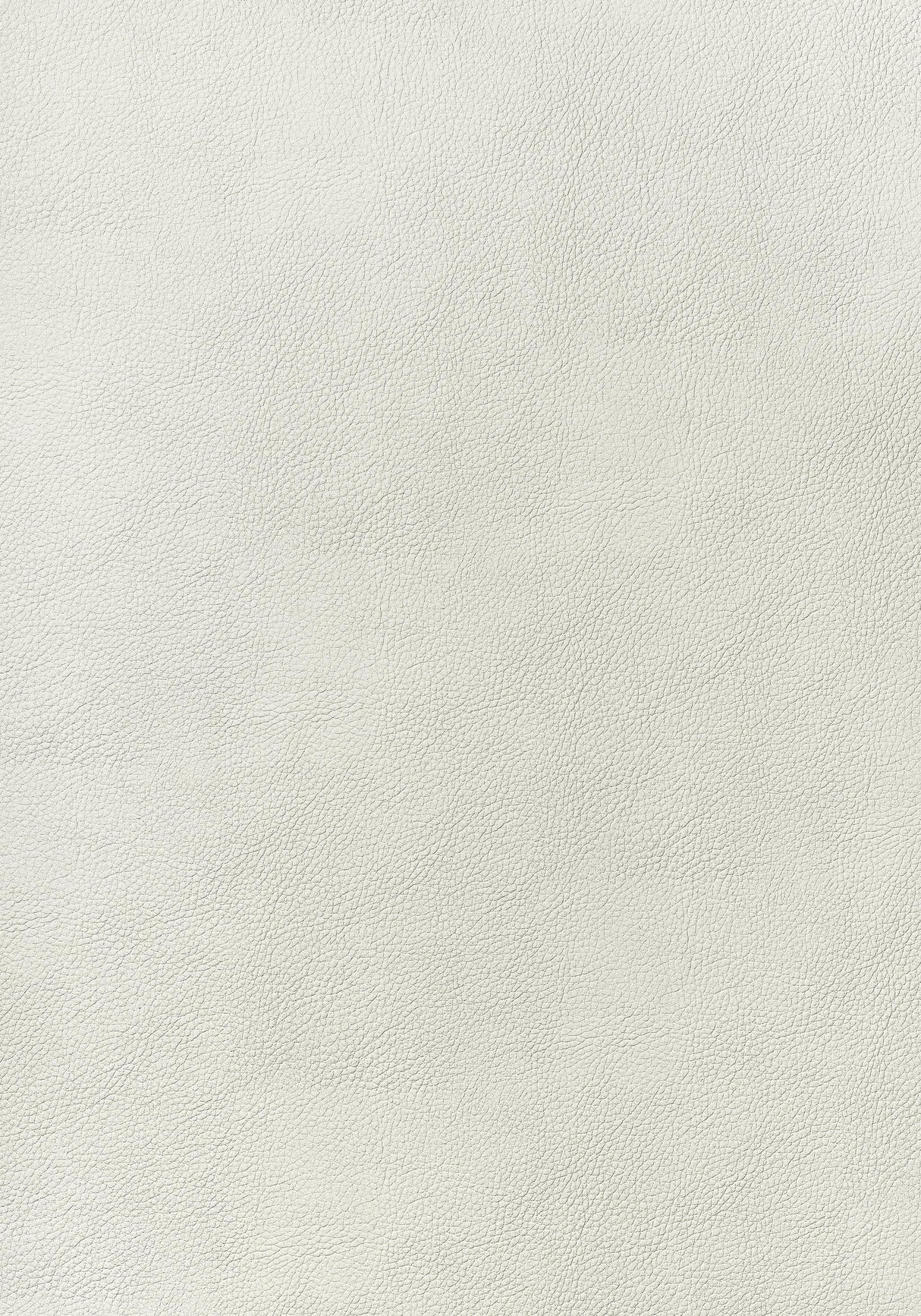 Thibaut ARCATA Ivory Fabric