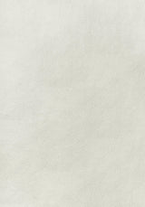 Thibaut ARCATA Ivory Fabric