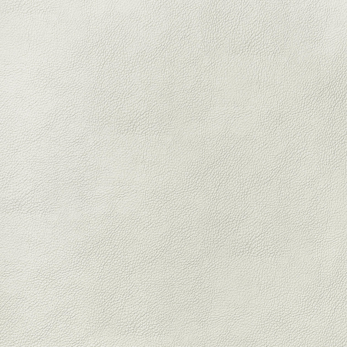 Thibaut Arcata Ivory Fabric