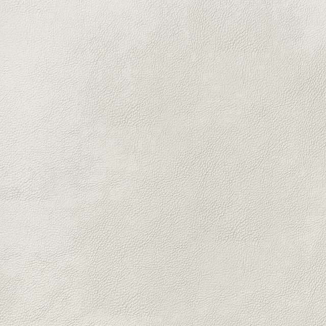 Thibaut Arcata Ivory Fabric