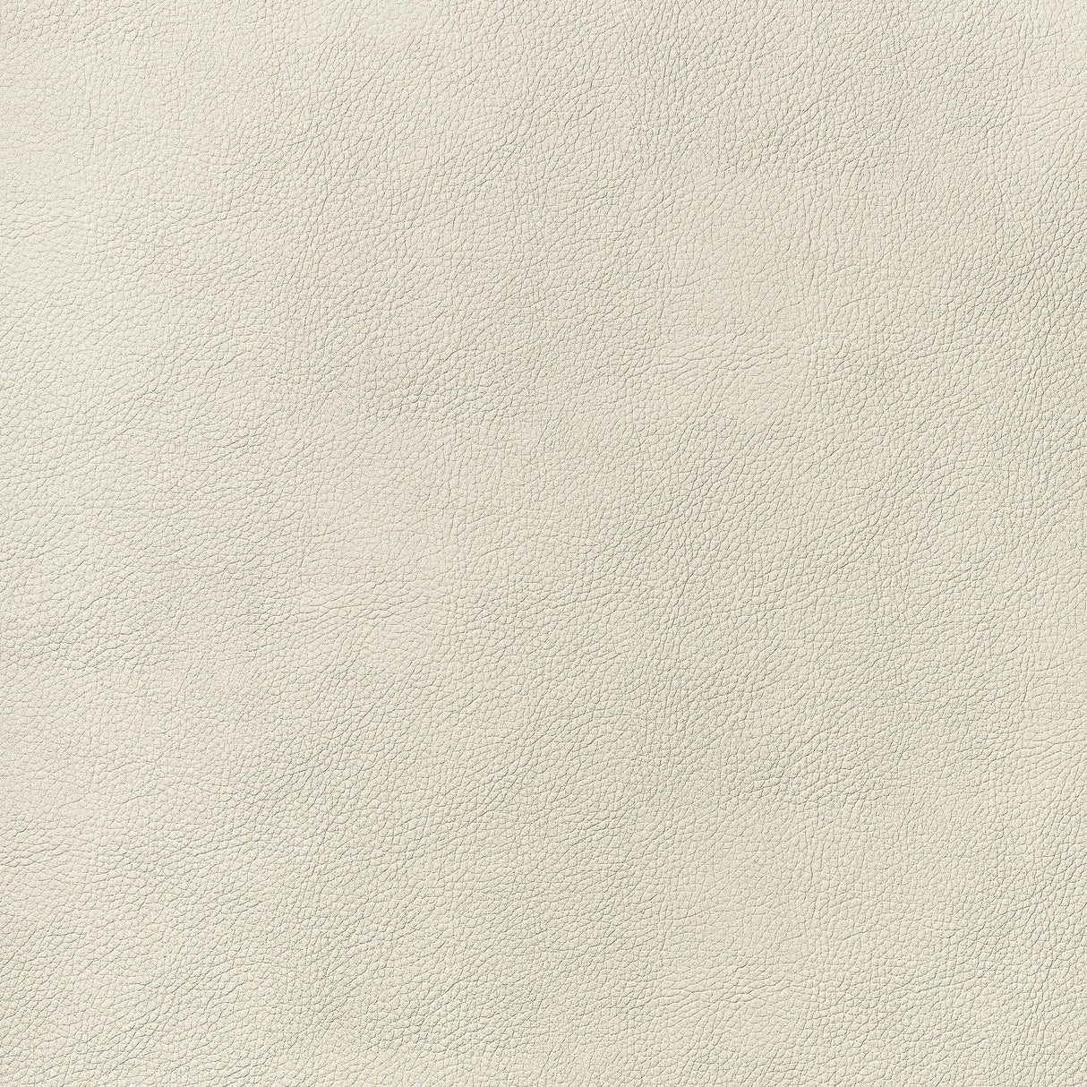 Thibaut Arcata Sand Fabric