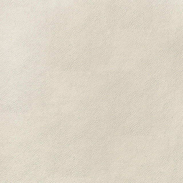 Thibaut Arcata Sand Fabric