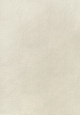 Thibaut ARCATA Sand Fabric