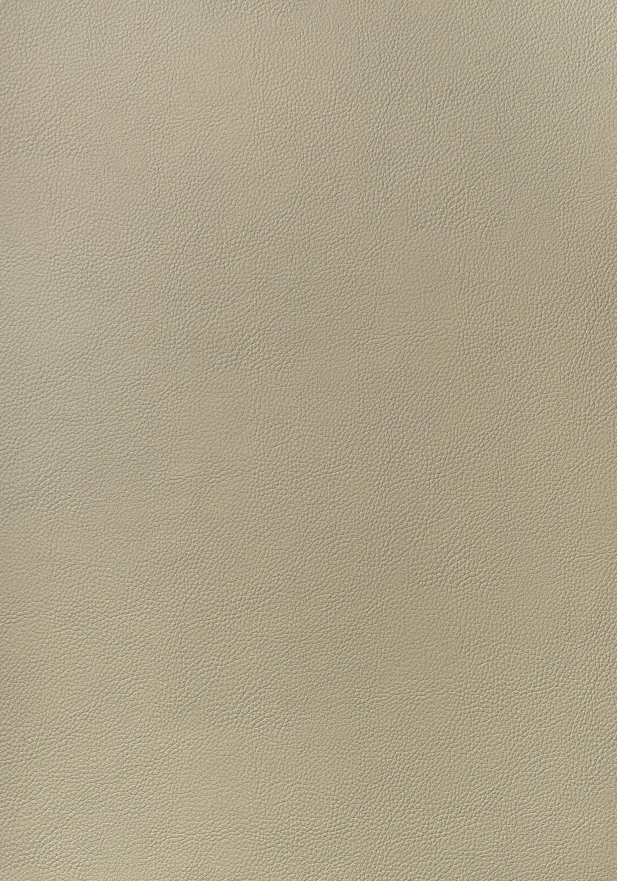 Thibaut ARCATA Dune Fabric