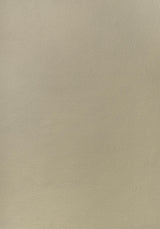 Thibaut ARCATA Dune Fabric