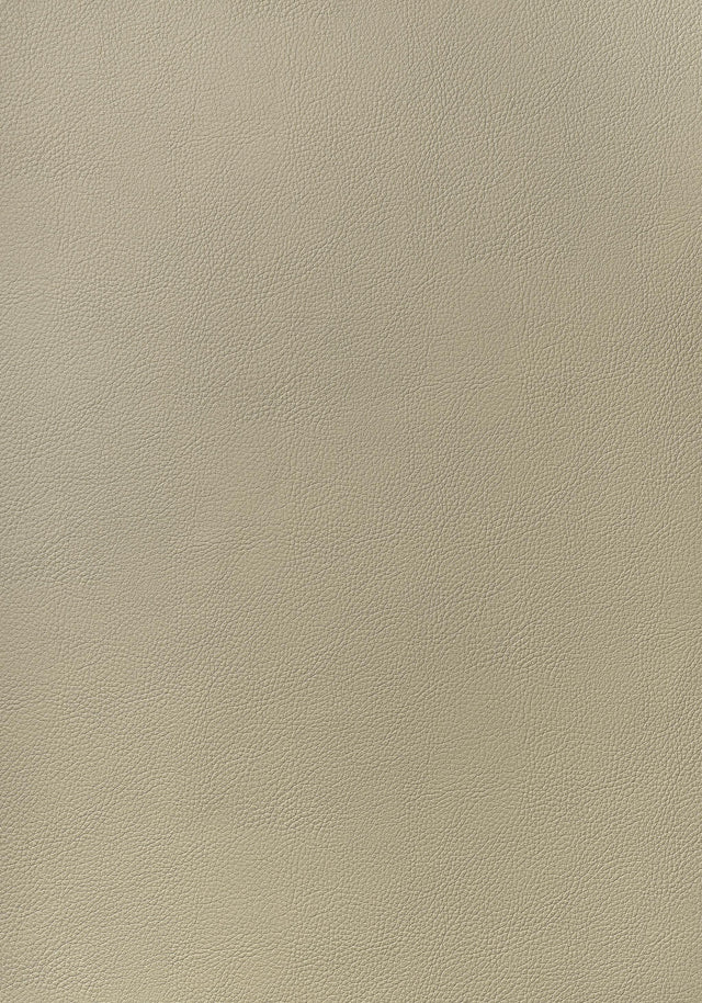 Thibaut ARCATA Dune Fabric