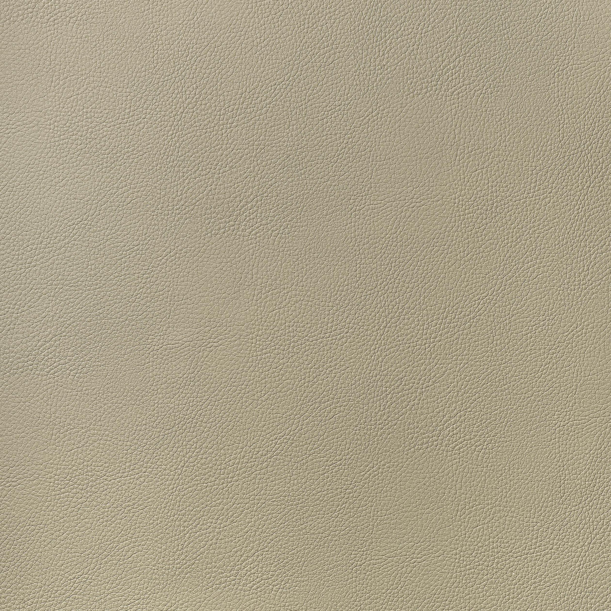 Thibaut Arcata Dune Fabric