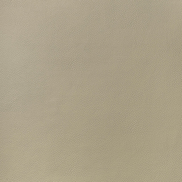 Thibaut Arcata Dune Fabric