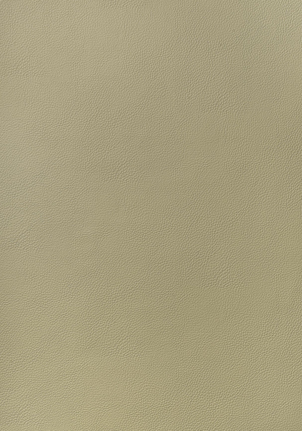 Thibaut ARCATA Twig Fabric