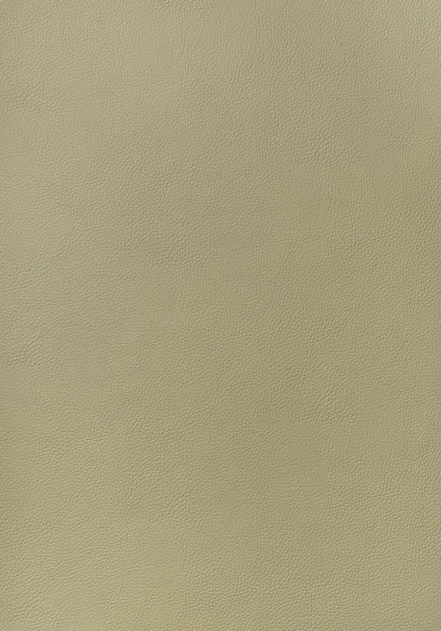 Thibaut ARCATA Twig Fabric