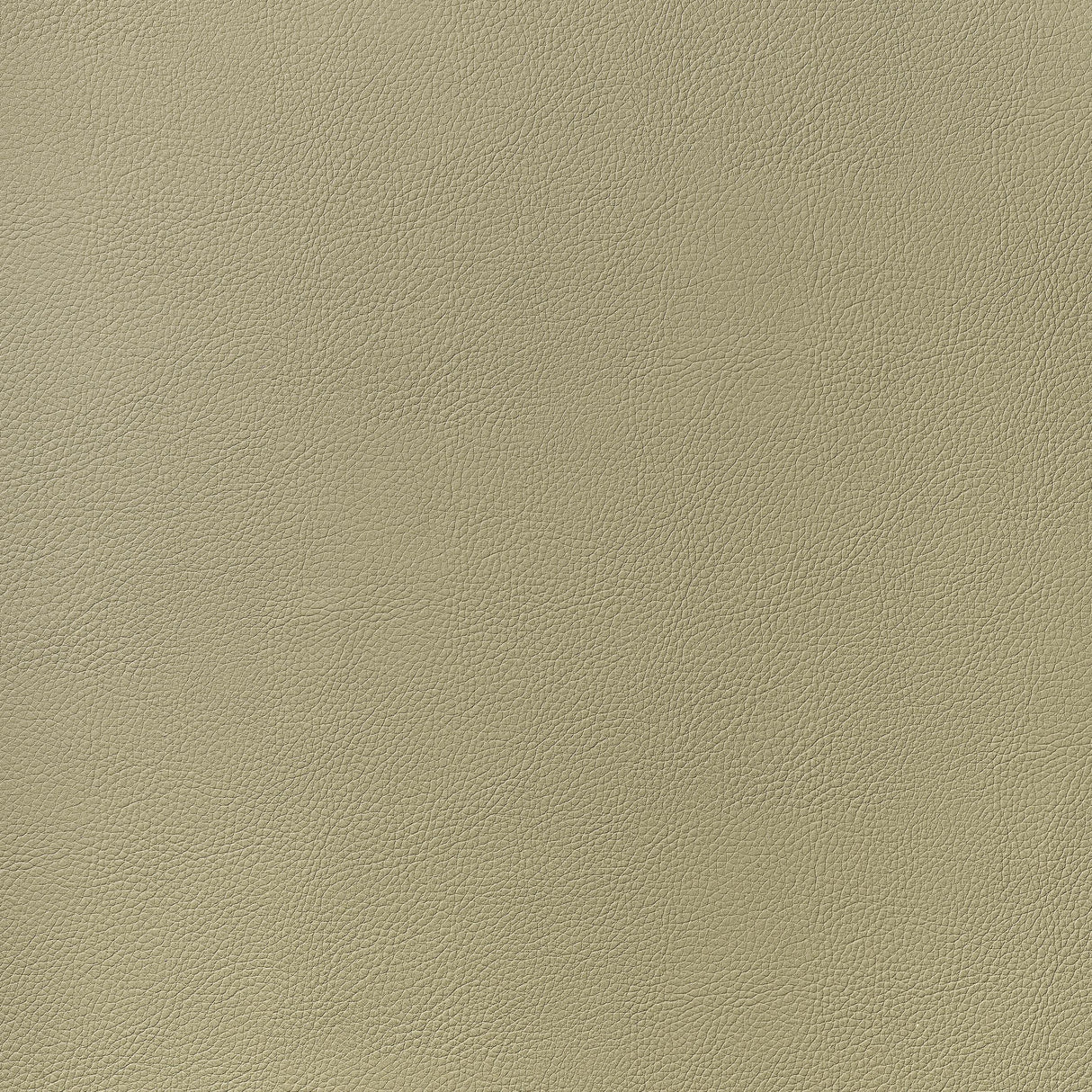 Thibaut Arcata Twig Fabric