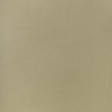 Thibaut Arcata Twig Fabric