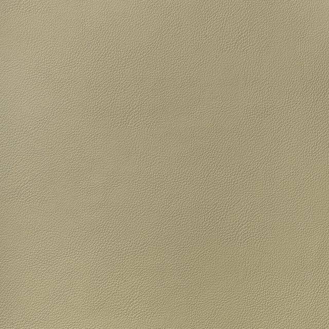 Thibaut Arcata Twig Fabric
