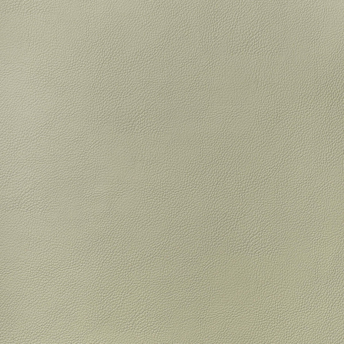 Thibaut Arcata Oat Fabric