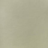 Thibaut Arcata Oat Fabric