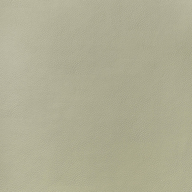 Thibaut Arcata Oat Fabric