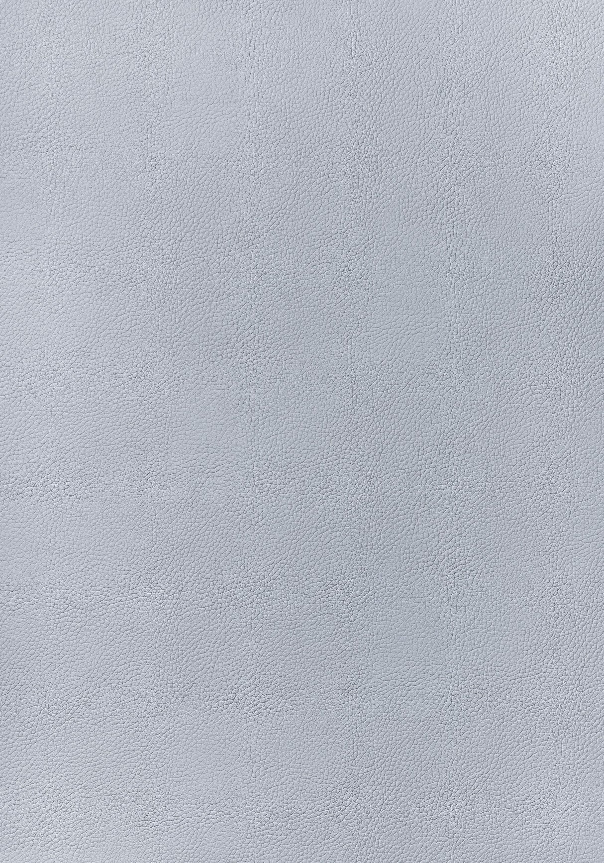 Thibaut ARCATA Glacier Fabric