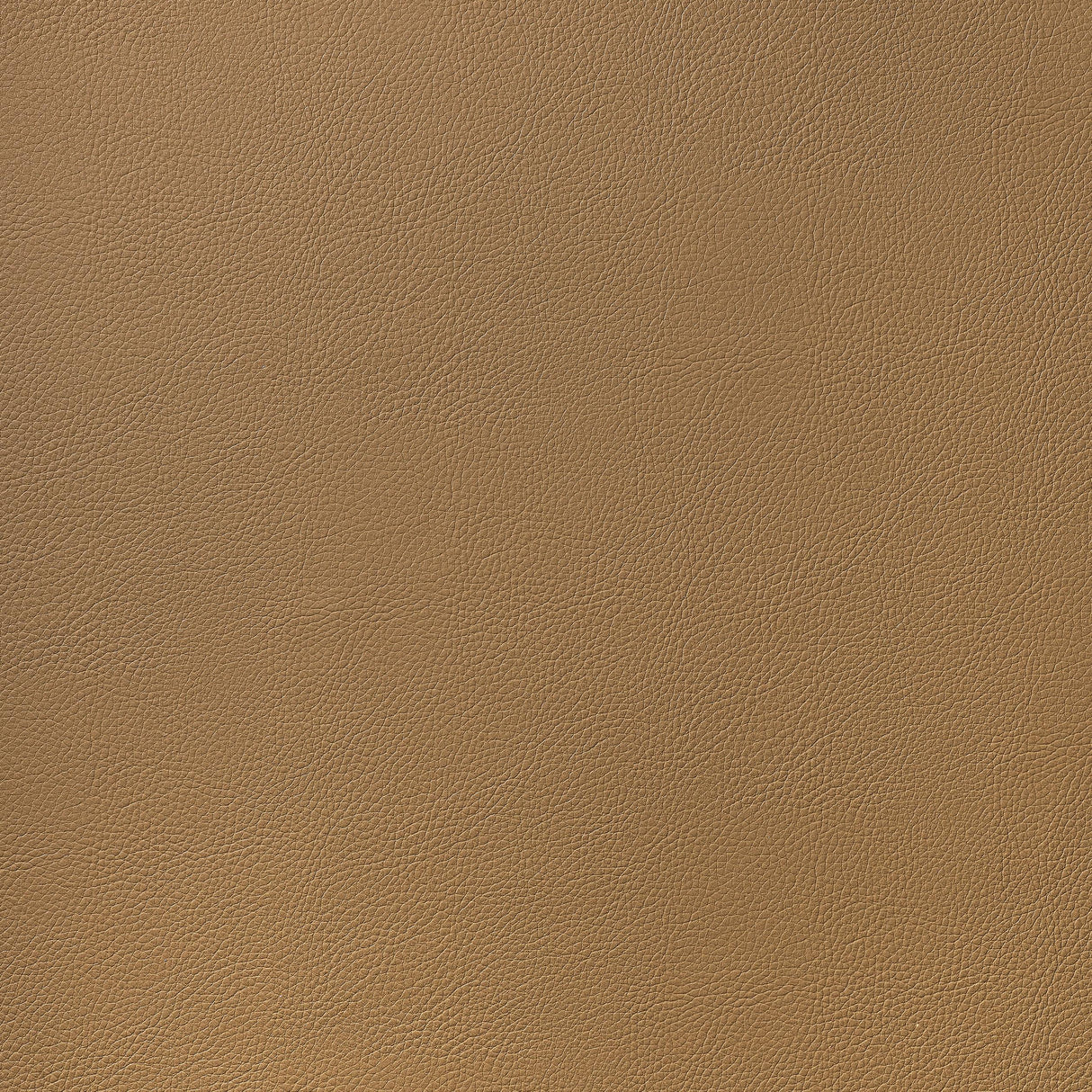 Thibaut Arcata Saddle Fabric