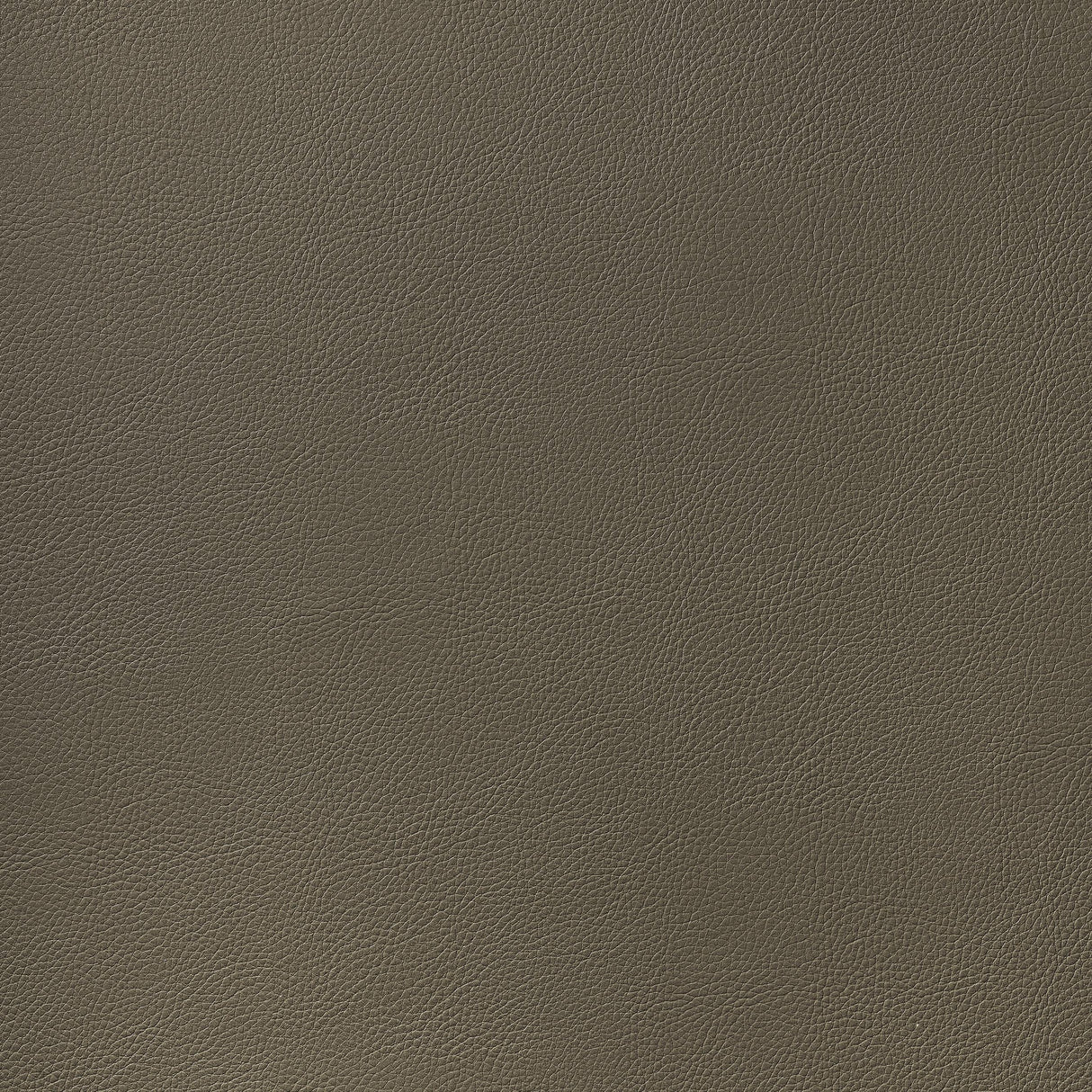 Thibaut Arcata Hickory Fabric