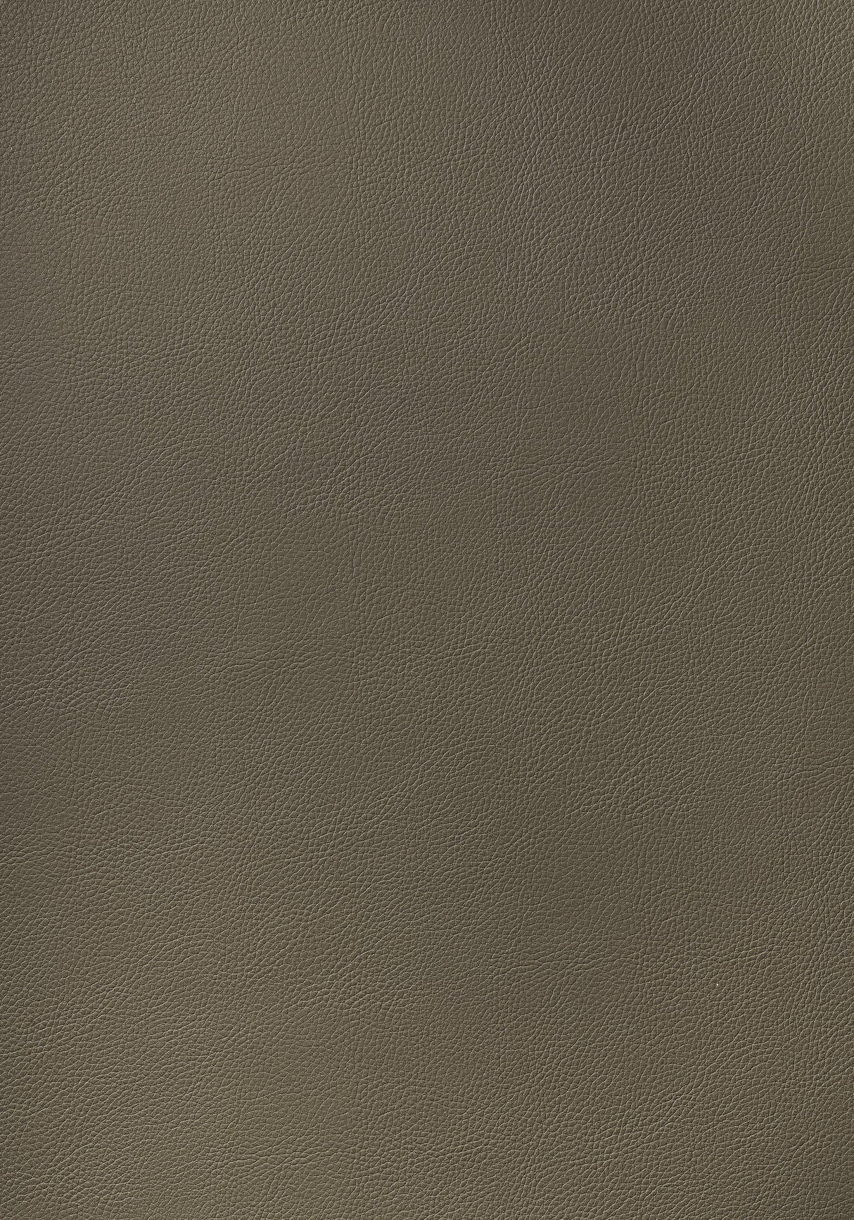 Thibaut ARCATA Hickory Fabric