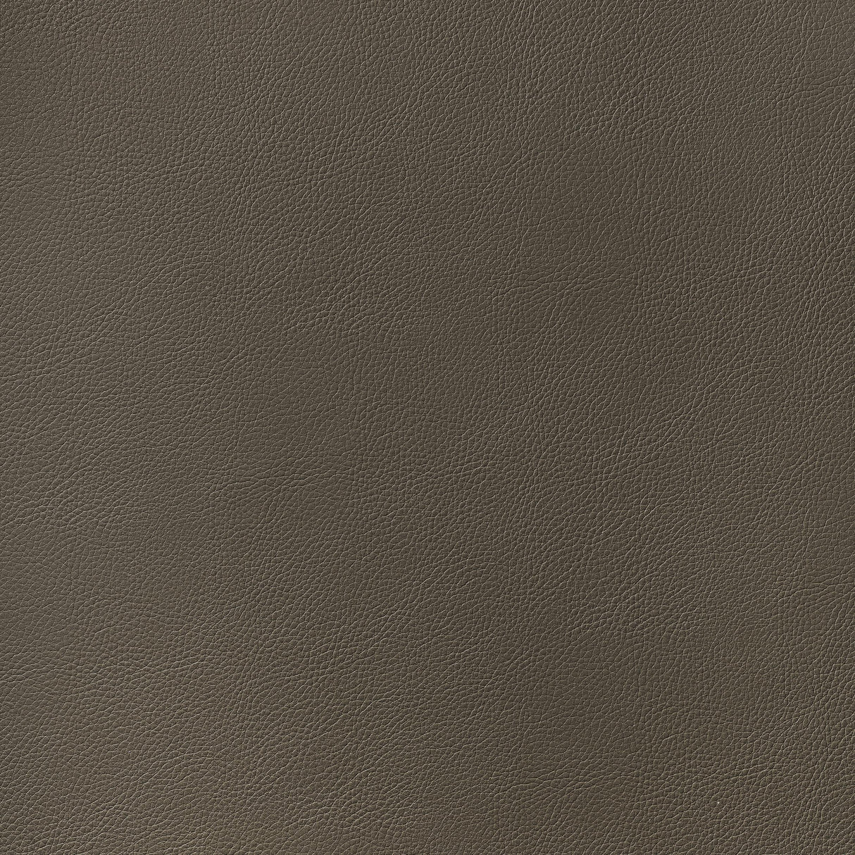 Thibaut Arcata Bark Fabric