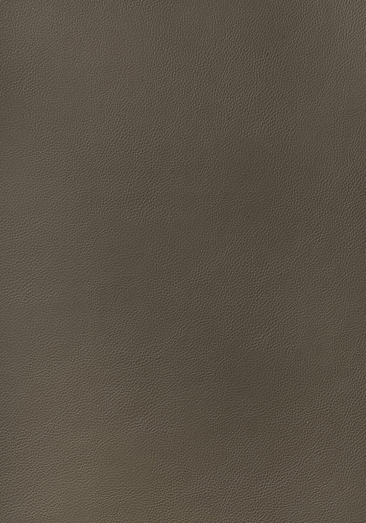 Thibaut ARCATA Bark Fabric