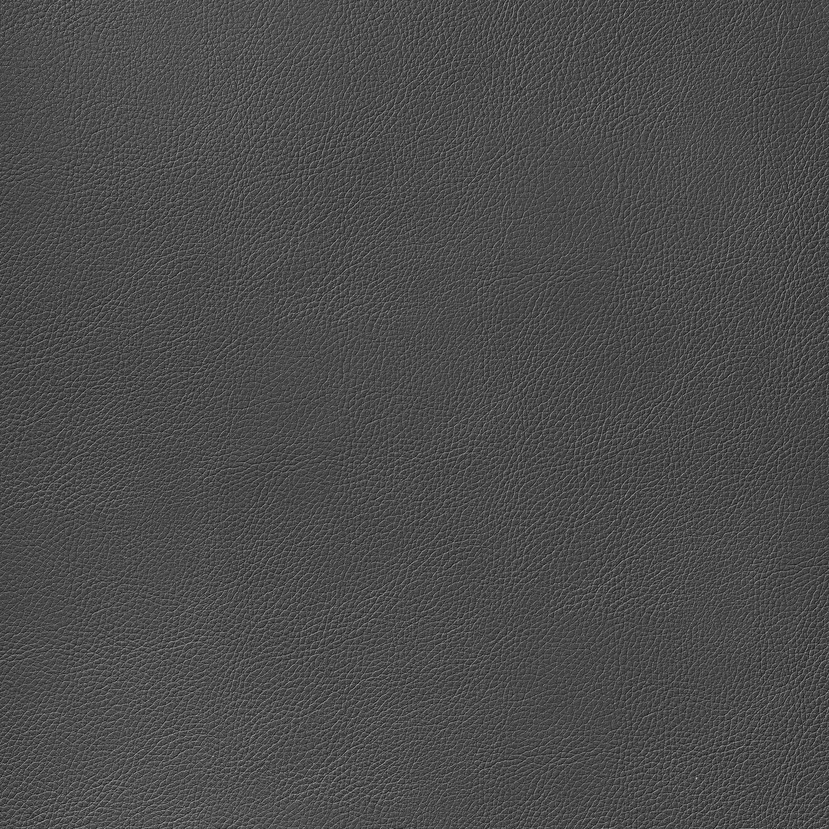 Thibaut Arcata Charcoal Fabric