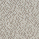 Thibaut Masai Taupe Fabric