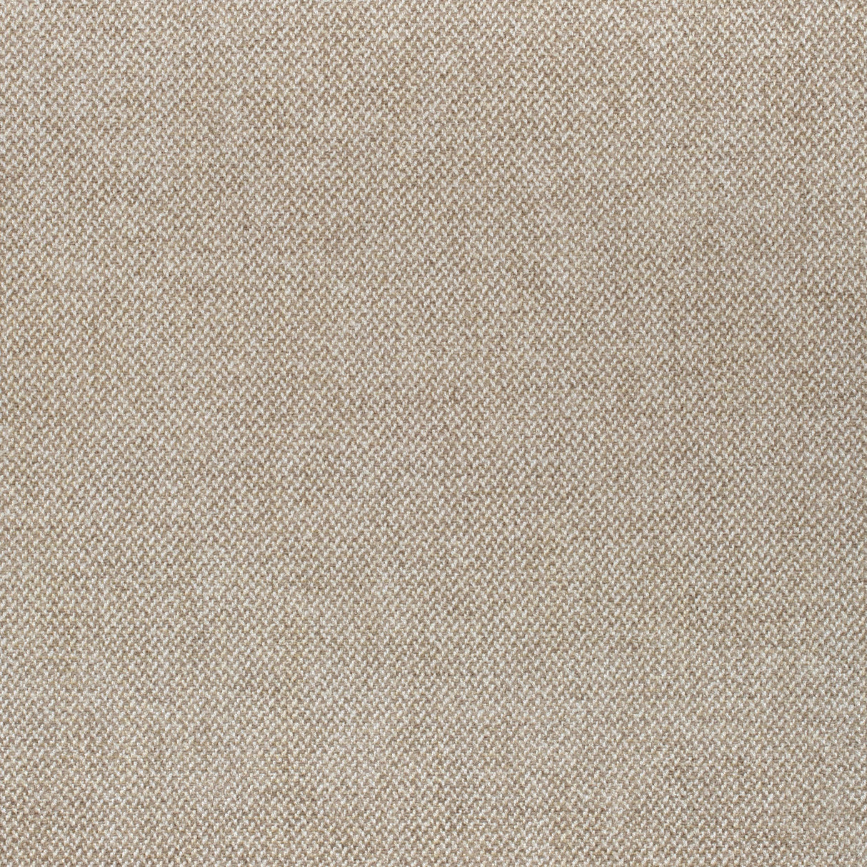 Thibaut Picco Sand Fabric