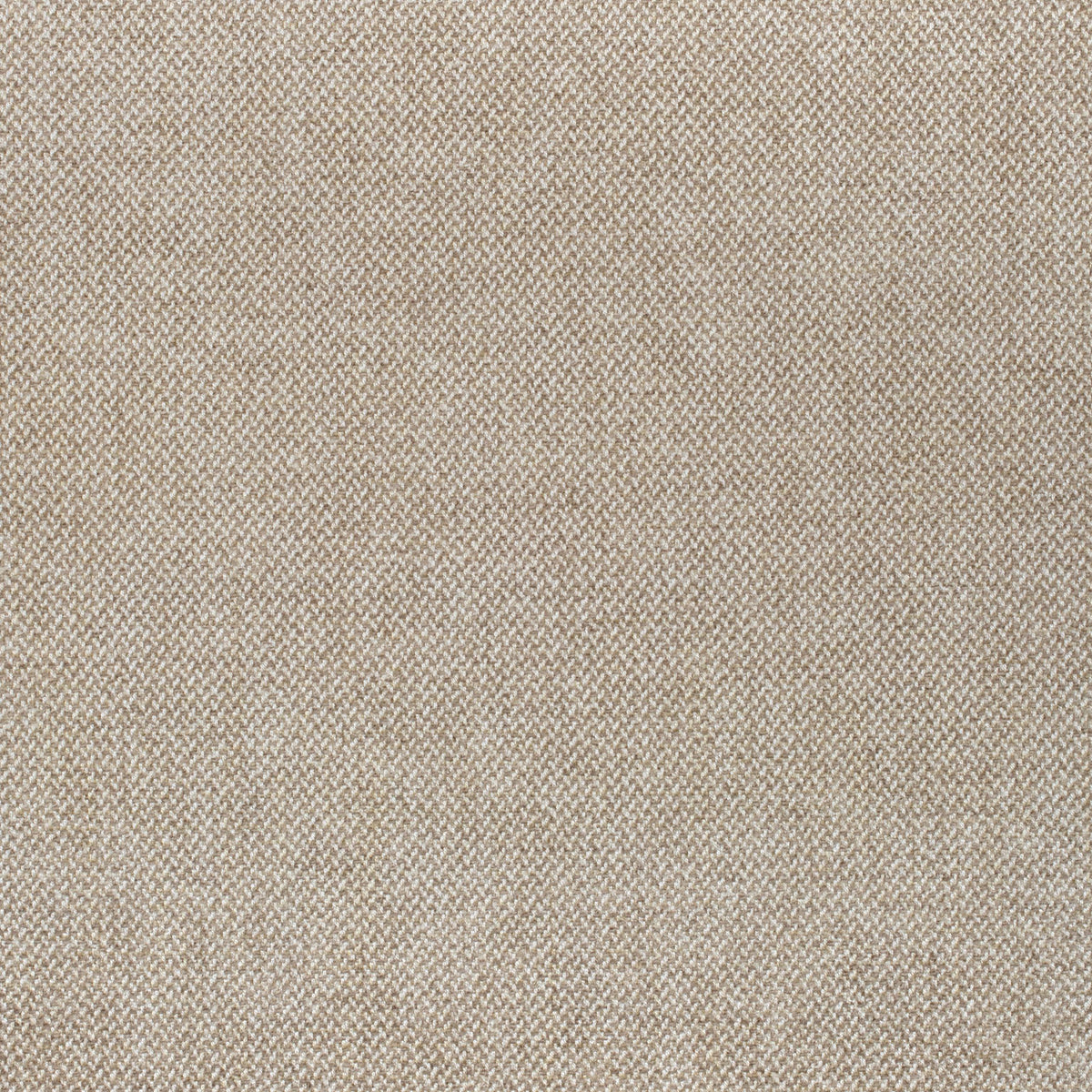Thibaut Picco Sand Fabric