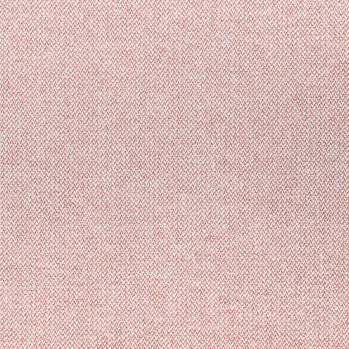 Thibaut Picco Blush Fabric