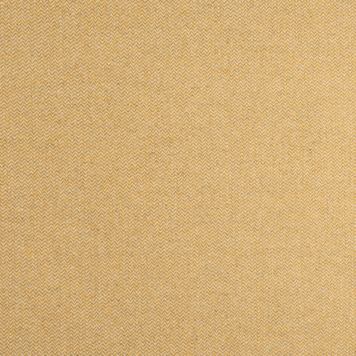 Thibaut DORSET Honey Fabric