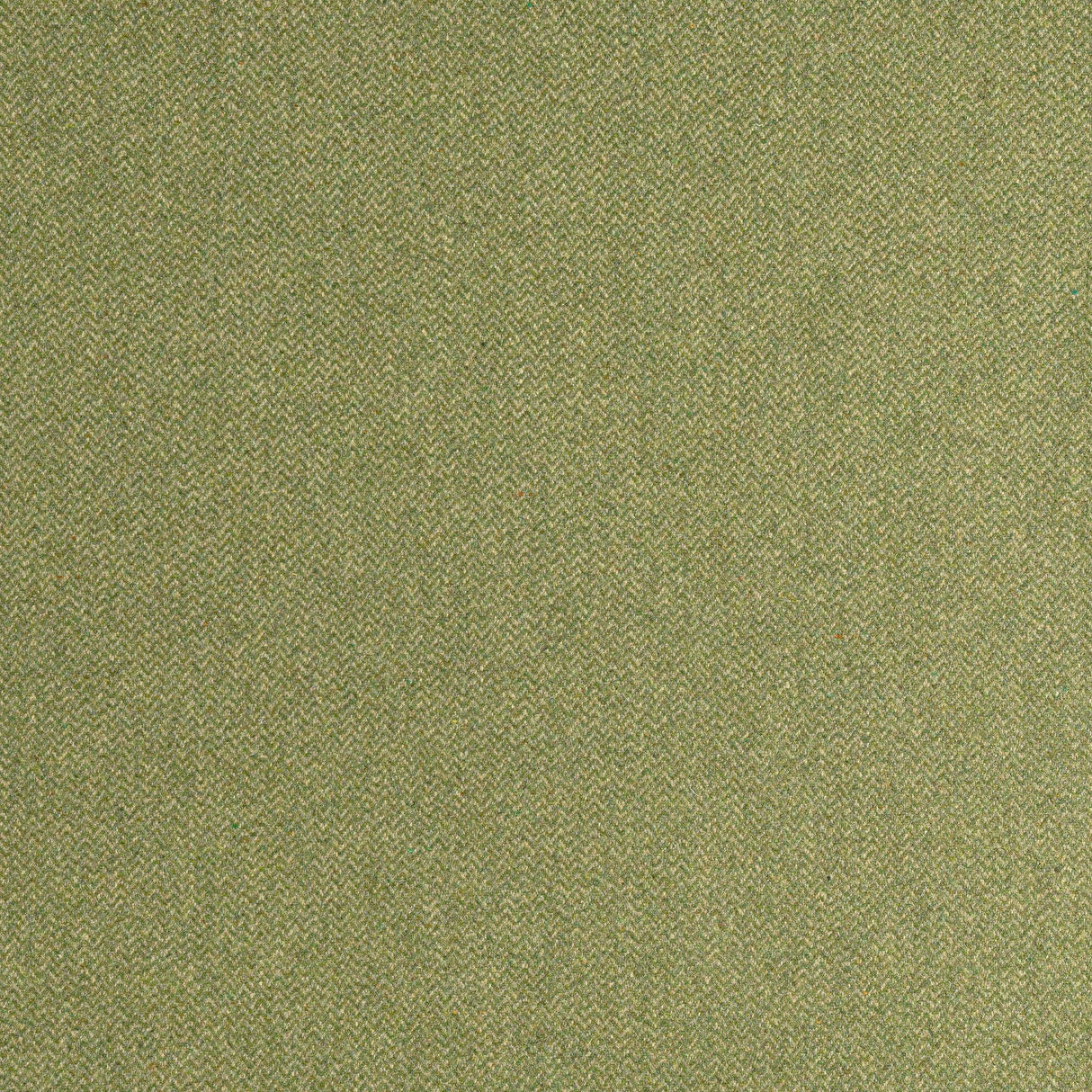 Thibaut DORSET Moss Fabric
