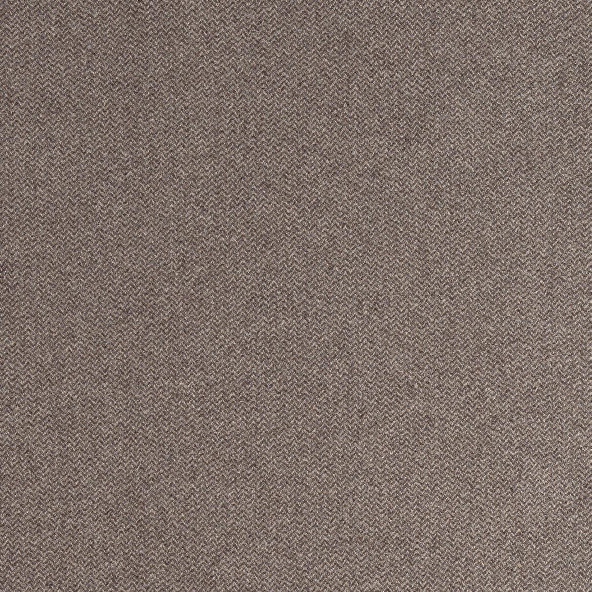 Thibaut DORSET Acorn Fabric