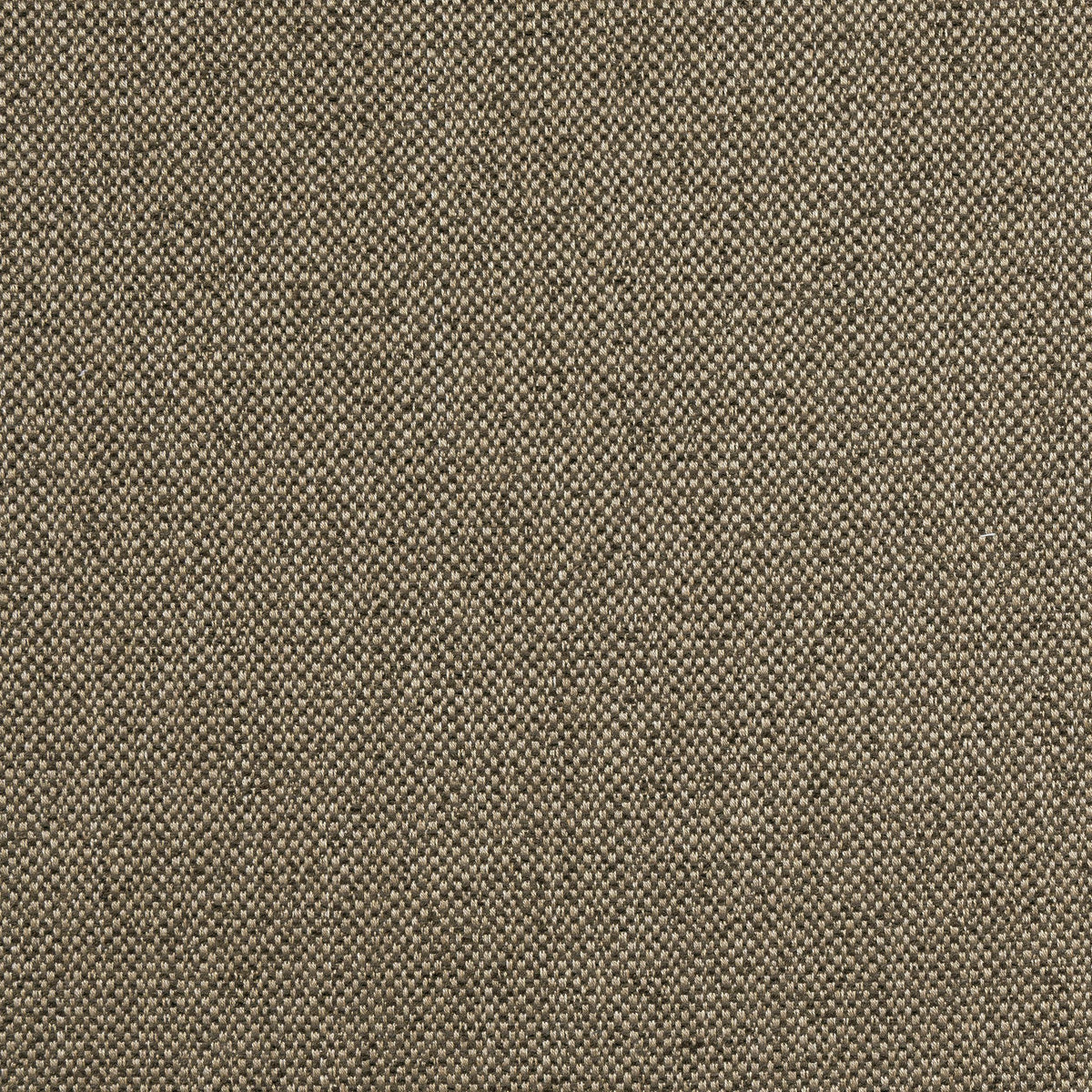 Thibaut Tinta Mocha Fabric
