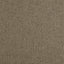 Thibaut Tinta Mocha Fabric