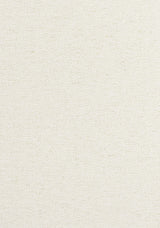 Thibaut TINTA Linen Fabric